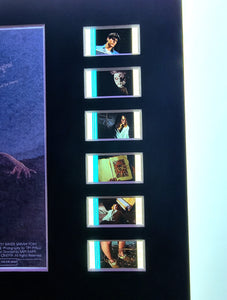 THE EVIL DEAD Bruce Campbell Horror Sam Raimi 35mm Movie Film Cell Display 8x10 Presentation