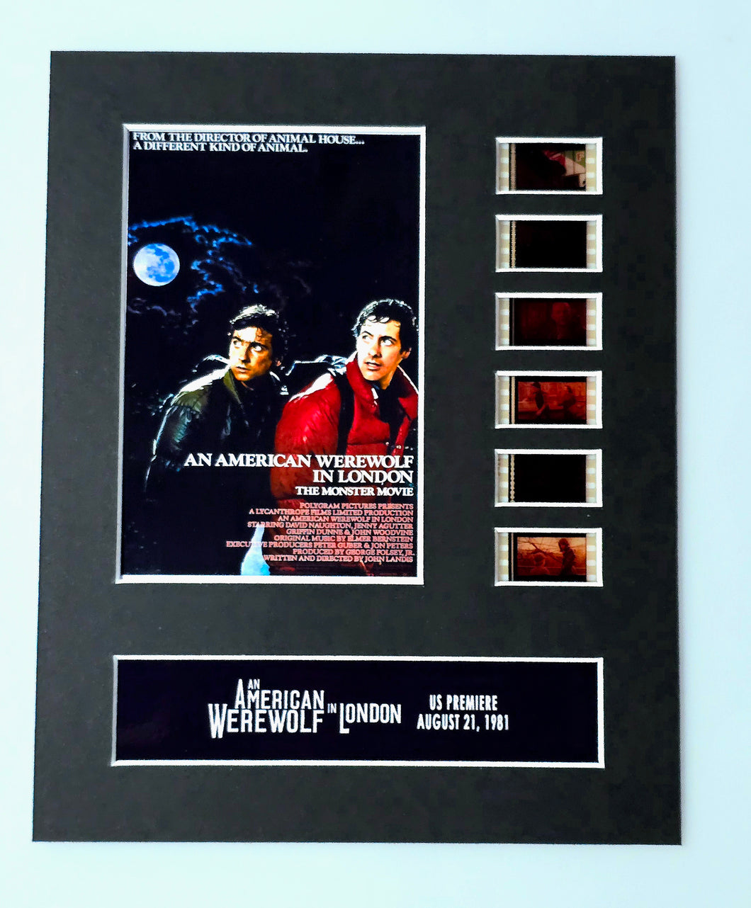 An American Werewolf in London 1981 35mm Movie Film Cell Display 8x10 Presentation Horror