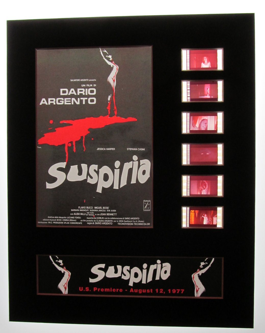 SUSPIRIA Dario Argento 35mm Movie Film Cell Display 8x10 Presentation Horror Italian Giallo