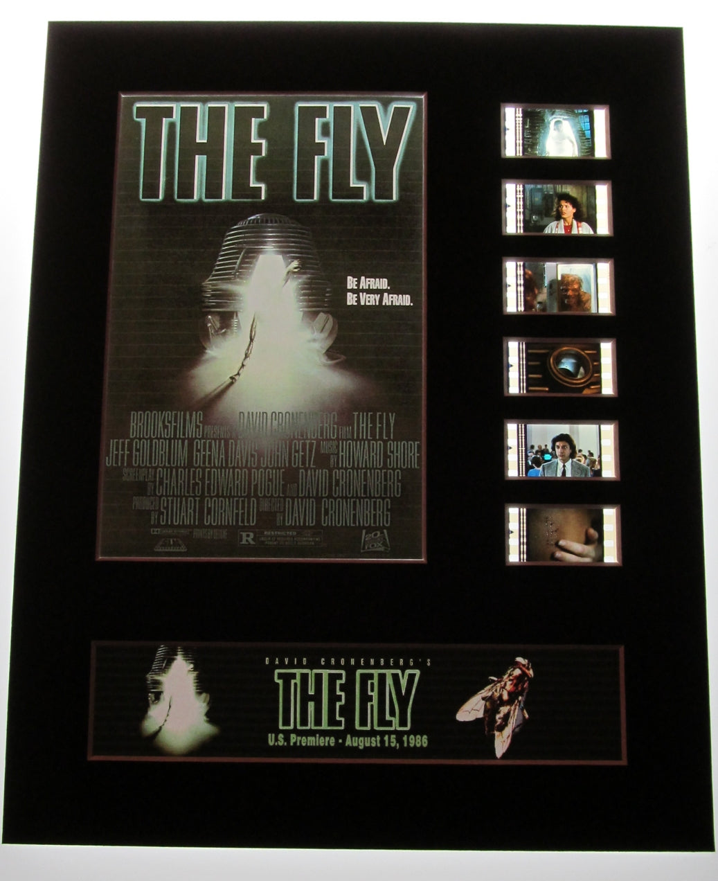 THE FLY Jeff Goldblum David Cronenberg 35mm Movie Film Cell Display 8x10 Presentation Horror