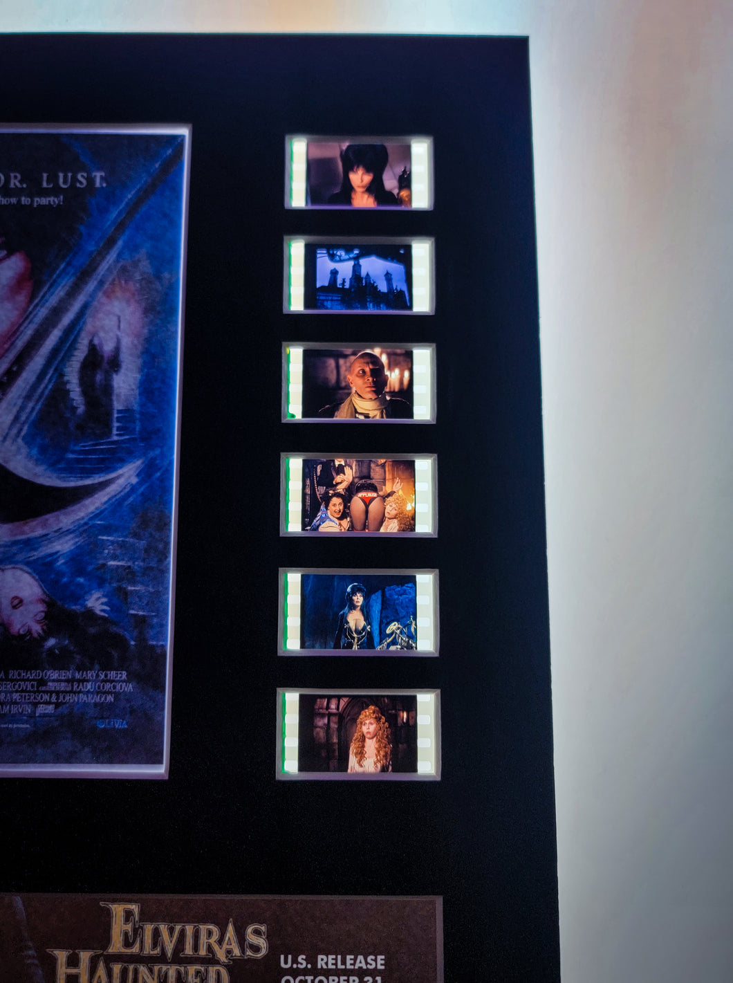 ELVIRA Elvira's Haunted Hills  35mm Movie Film Cell Display 8x10 Presentation Horror